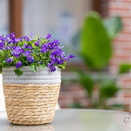 Klw Garden Centrum - Klimatyzacja Апартаменты *