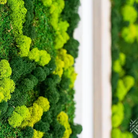 Klw Garden Centrum - Klimatyzacja * Szczecin